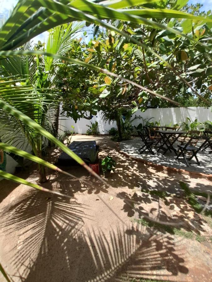 Casa Pipa Bg Hotell Barra Grande  Exteriör bild