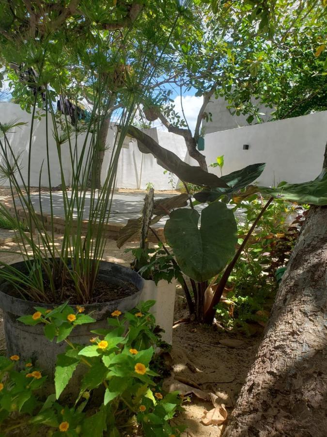 Casa Pipa Bg Hotell Barra Grande  Exteriör bild